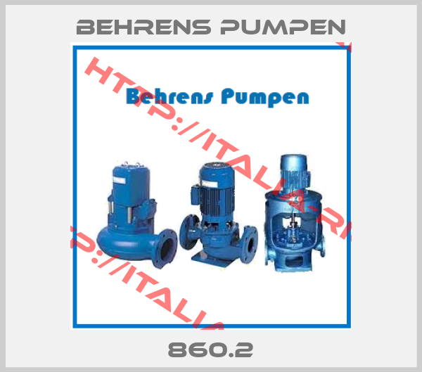 Behrens Pumpen-860.2