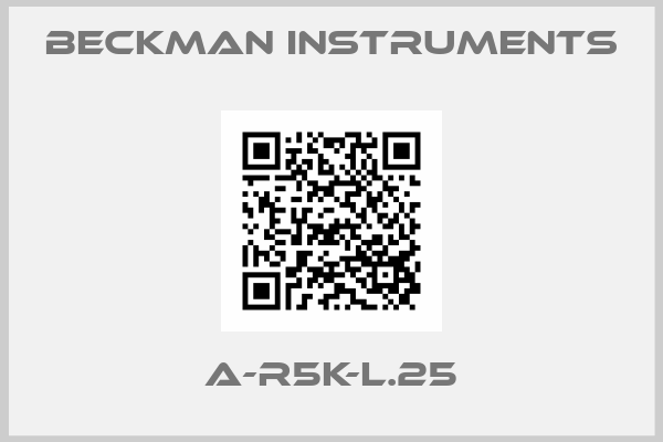 BECKMAN INSTRUMENTS-A-R5K-L.25