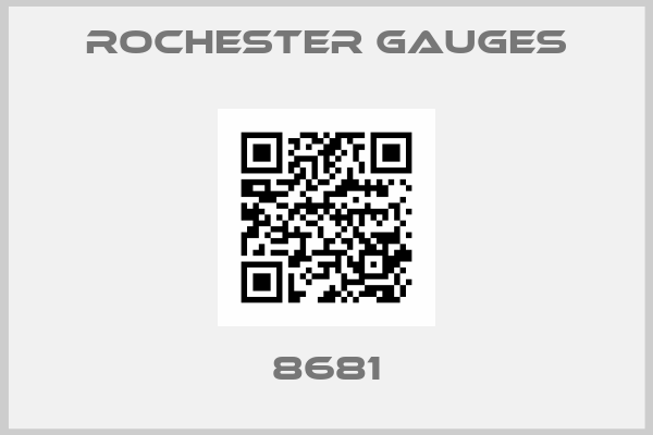Rochester Gauges-8681