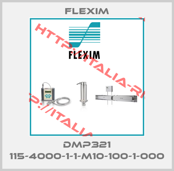 Flexim-DMP321 115-4000-1-1-M10-100-1-000