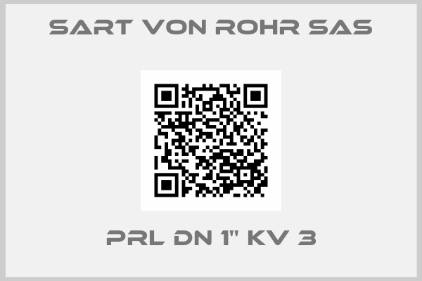 Sart Von Rohr SAS-PRL DN 1'' Kv 3