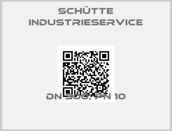 Schütte Industrieservice-DN 300; PN 10