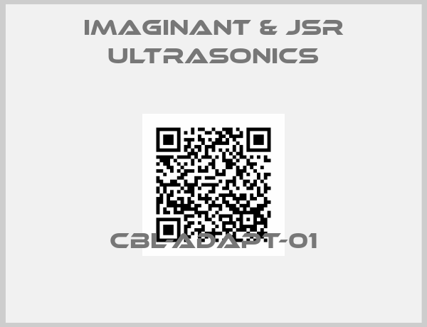 IMAGINANT & JSR ULTRASONICS-CBL-ADAPT-01