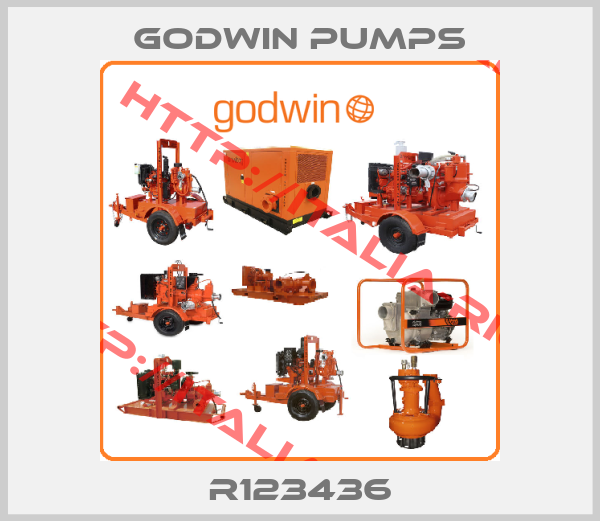 Godwin Pumps-R123436