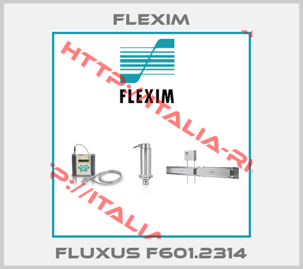 Flexim-FLUXUS F601.2314