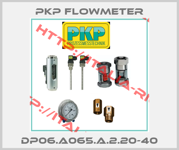 PKP Flowmeter-DP06.A065.A.2.20-40