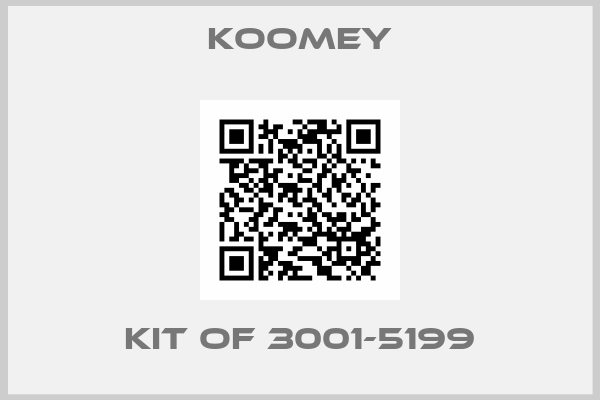 KOOMEY-KIT OF 3001-5199