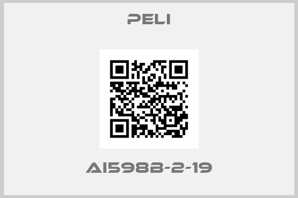 PELI-AI598B-2-19