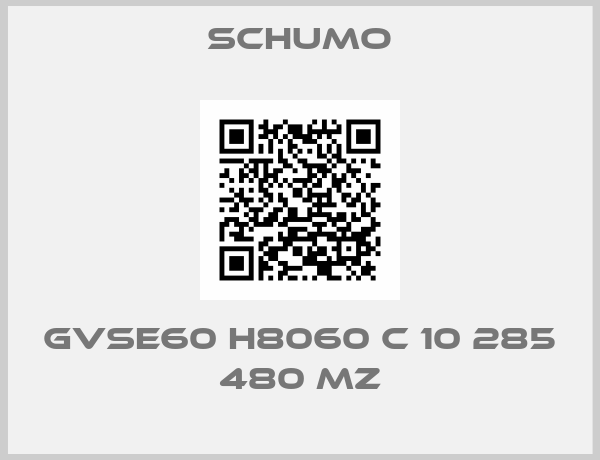 Schumo-GVSE60 H8060 C 10 285 480 MZ