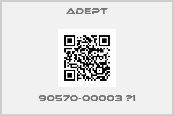 ADEPT-90570-00003 	1