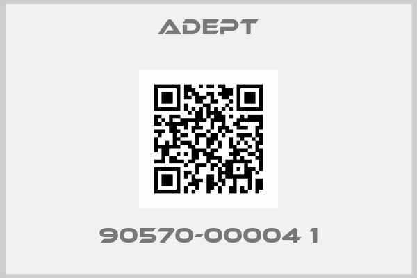 ADEPT-90570-00004 1