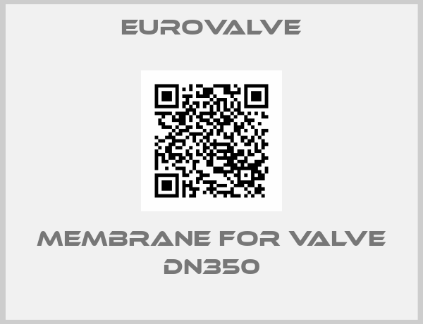 Eurovalve-membrane for valve DN350