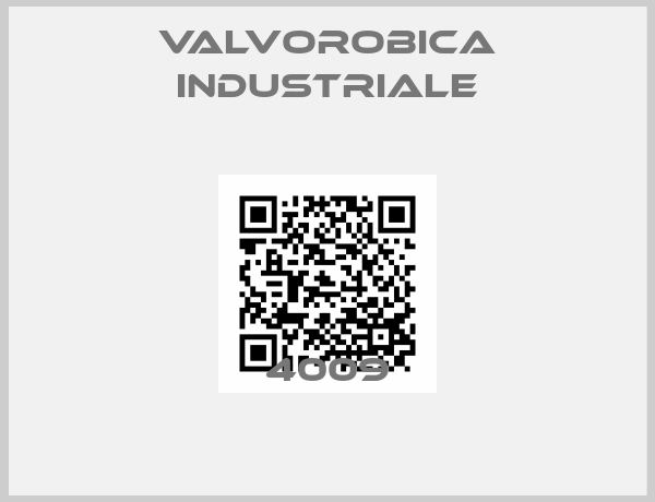 Valvorobica industriale-4009