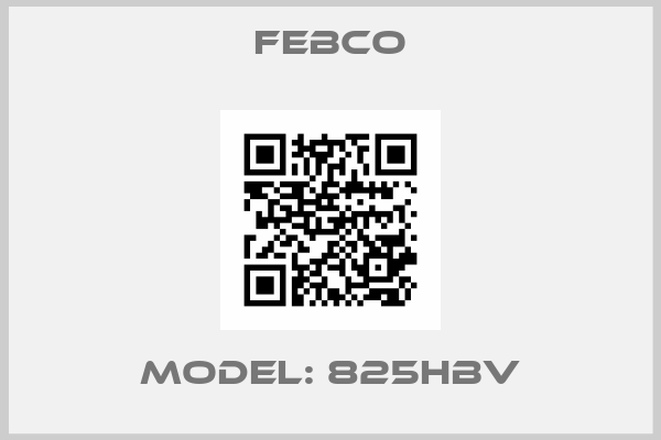 Febco-Model: 825HBV