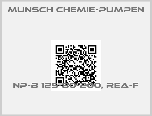 Munsch Chemie-Pumpen -NP-B 125-80-200, REA-F