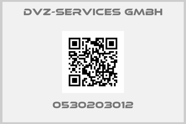 DVZ-SERVICES GmbH-0530203012