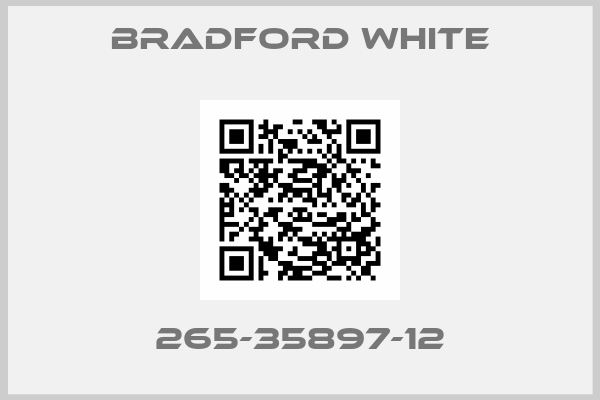 Bradford White-265-35897-12