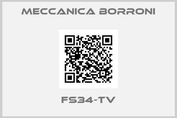 Meccanica Borroni-FS34-TV