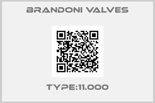 Brandoni valves-Type:11.000