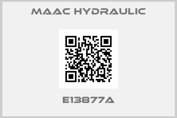 MAAC Hydraulic-E13877A