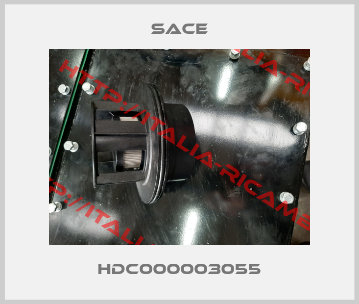 Sace-HDC000003055