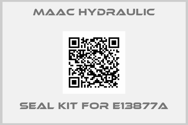 MAAC Hydraulic-Seal kit for E13877A