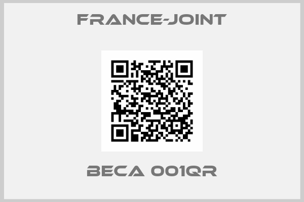France-Joint-BECA 001QR