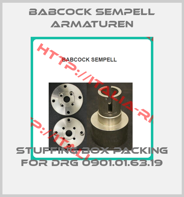 Babcock sempell Armaturen-STUFFING BOX PACKING for DRG 0901.01.63.19