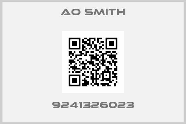 AO Smith-9241326023