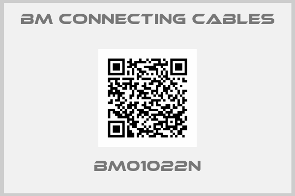 BM Connecting Cables-BM01022N