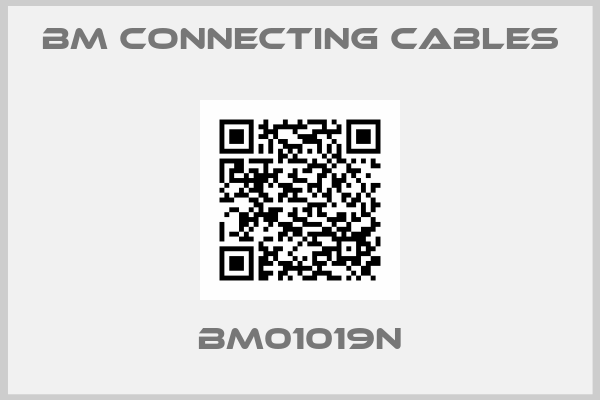 BM Connecting Cables-BM01019N
