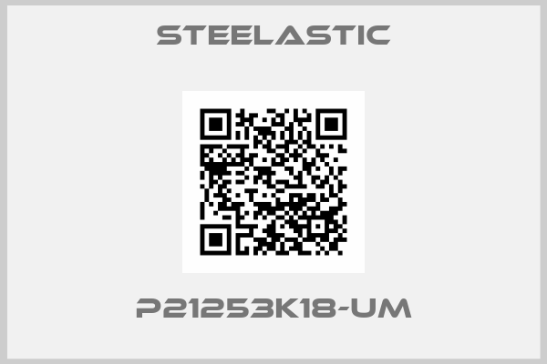 STEELASTIC-P21253K18-UM