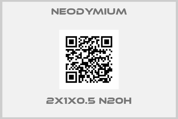 Neodymium-2X1X0.5 N20H