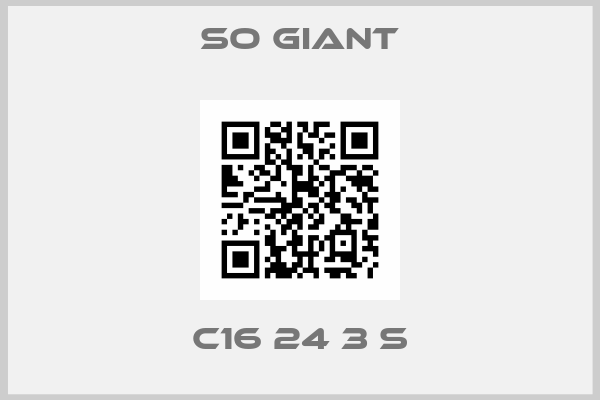 So Giant-C16 24 3 S