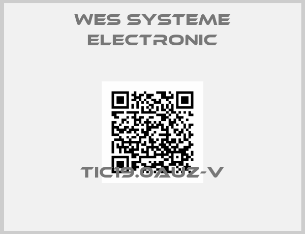 WES Systeme Electronic-TIC19.0AUZ-V