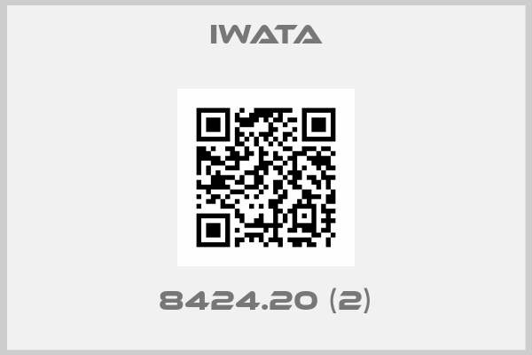 Iwata-8424.20 (2)