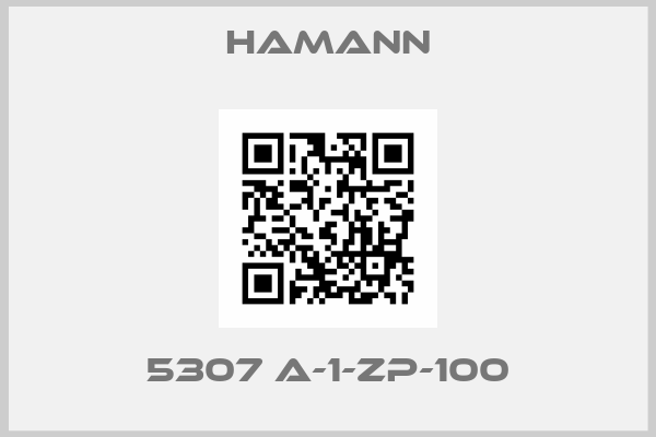 HAMANN-5307 A-1-ZP-100