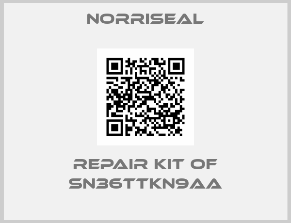 Norriseal-REPAIR KIT OF SN36TTKN9AA