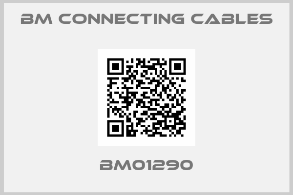 BM Connecting Cables-BM01290