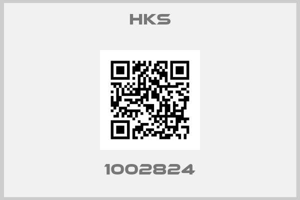 Hks-1002824