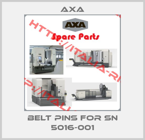 Axa-Belt pins for SN 5016-001