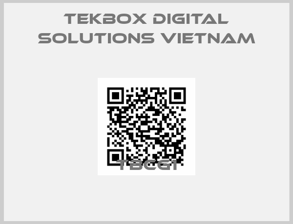 Tekbox Digital Solutions Vietnam-TBCG1
