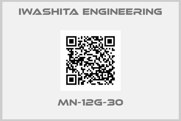 IWASHITA ENGINEERING-MN-12G-30