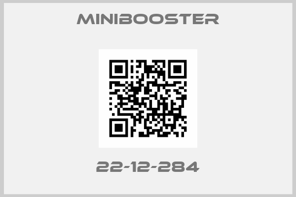 miniBOOSTER-22-12-284