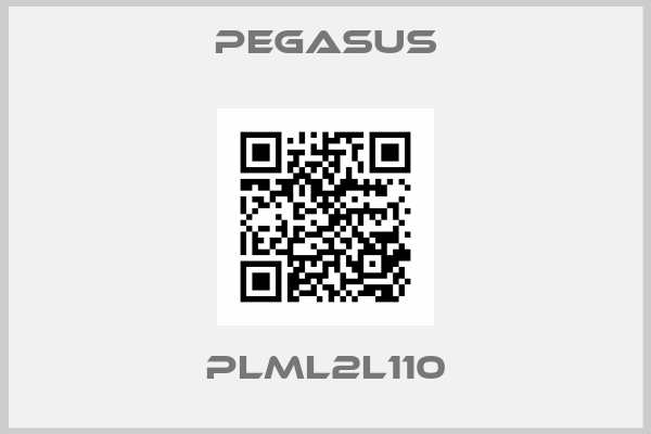 Pegasus-PLML2L110