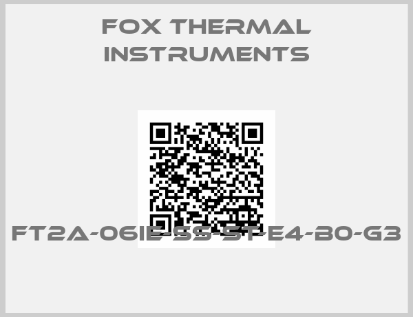 Fox Thermal Instruments-FT2A-06IE-SS-ST-E4-B0-G3