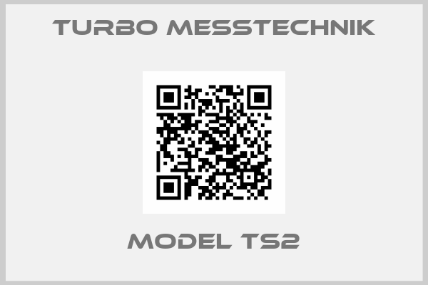 Turbo Messtechnik-Model TS2