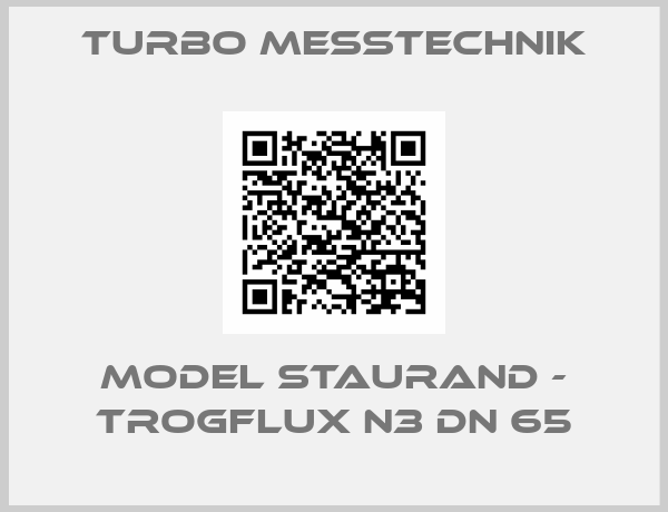 Turbo Messtechnik-Model STAURAND - TROGFLUX N3 DN 65