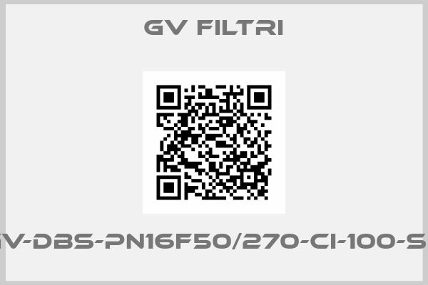 GV Filtri-GV-DBS-PN16F50/270-CI-100-SS