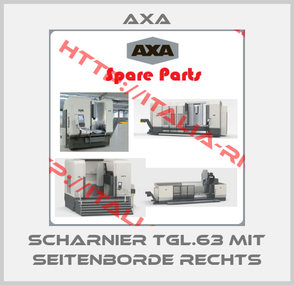 Axa-Scharnier TGL.63 mit Seitenborde rechts
